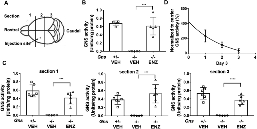 Figure 6.