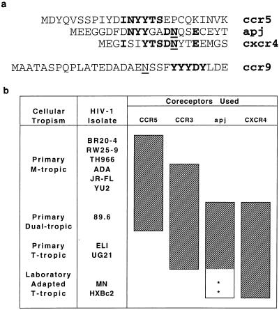 FIG. 5