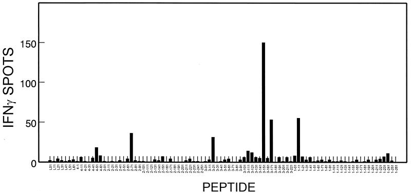 FIG. 1.