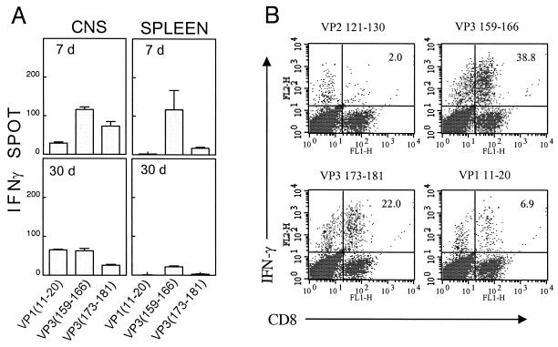 FIG. 7.