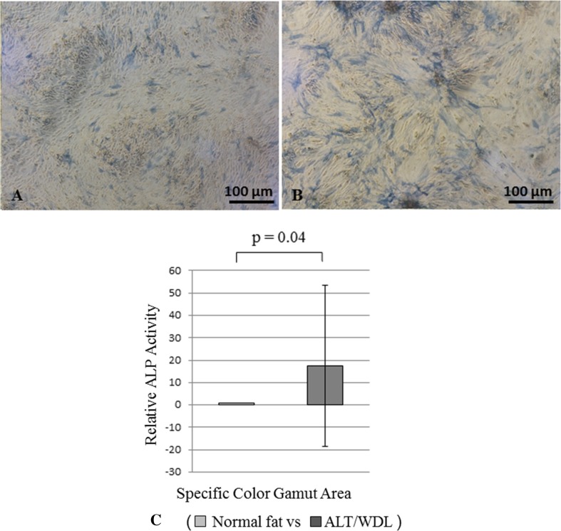 Fig. 3A–C