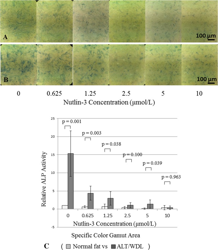 Fig. 5A–C