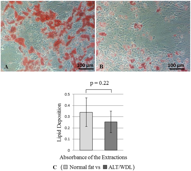 Fig. 2A–C