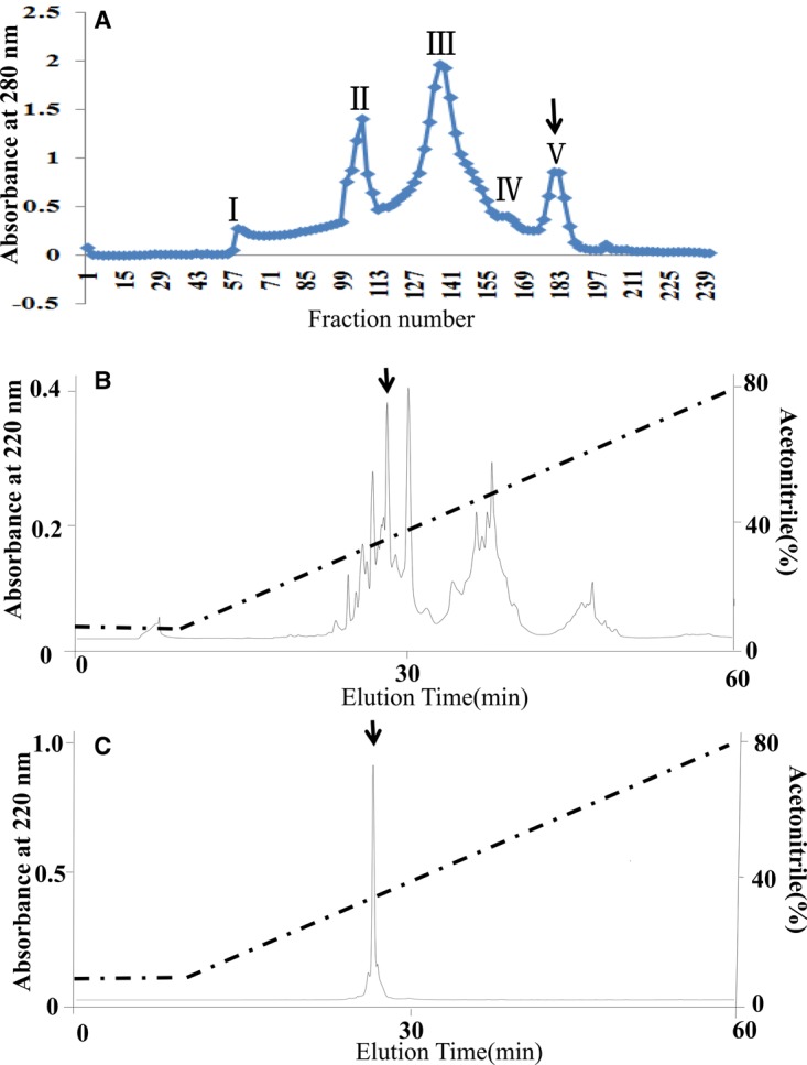 Figure 1.