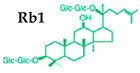 graphic file with name molecules-25-02635-i001.jpg