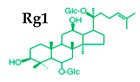 graphic file with name molecules-25-02635-i007.jpg