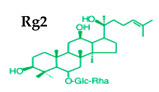 graphic file with name molecules-25-02635-i008.jpg