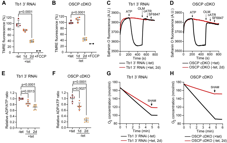 Figure 4