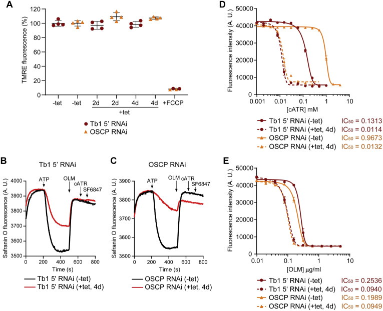 Figure 6