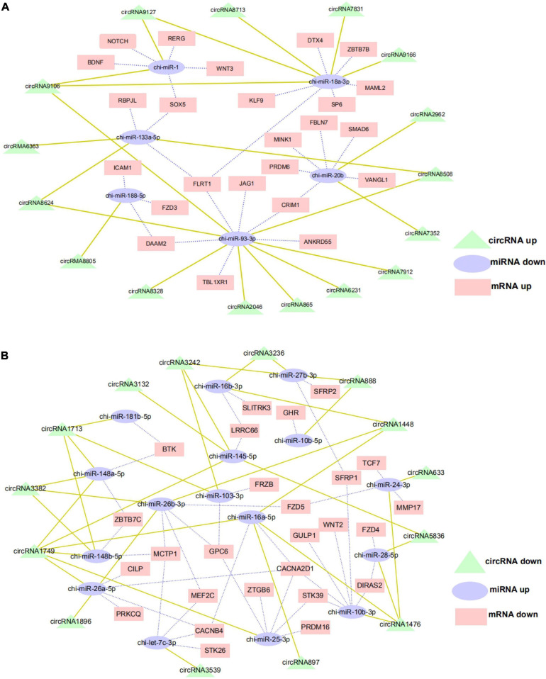 FIGURE 6