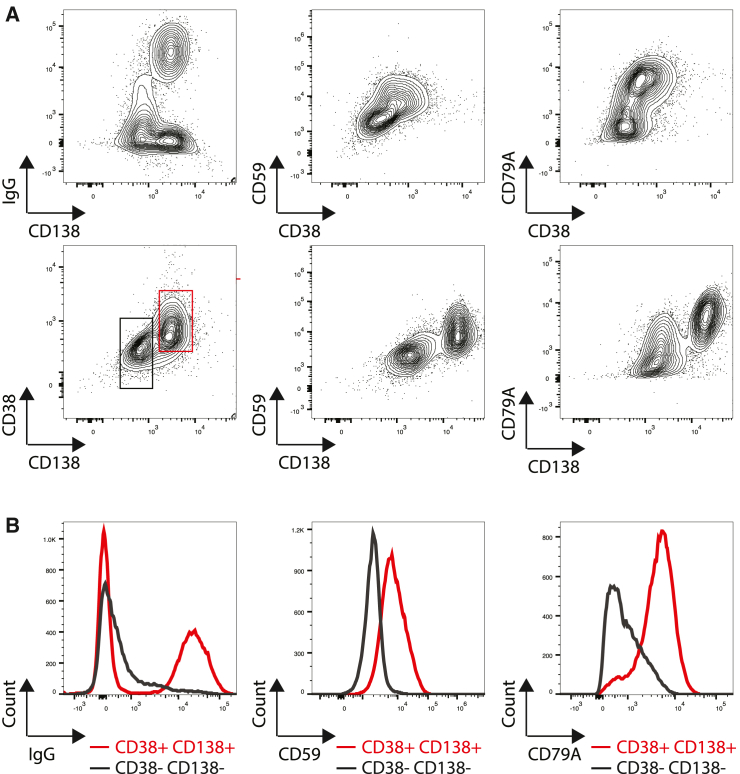 Figure 5