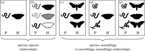 Figure 1.