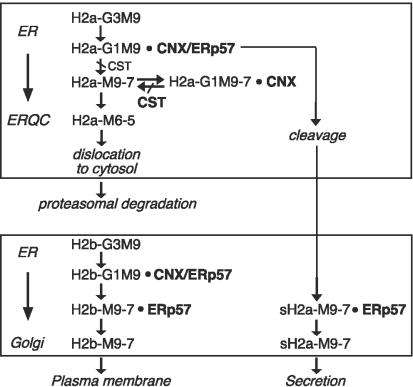 Figure 9.