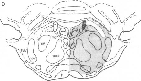 graphic file with name pnas00040-0413-d.jpg