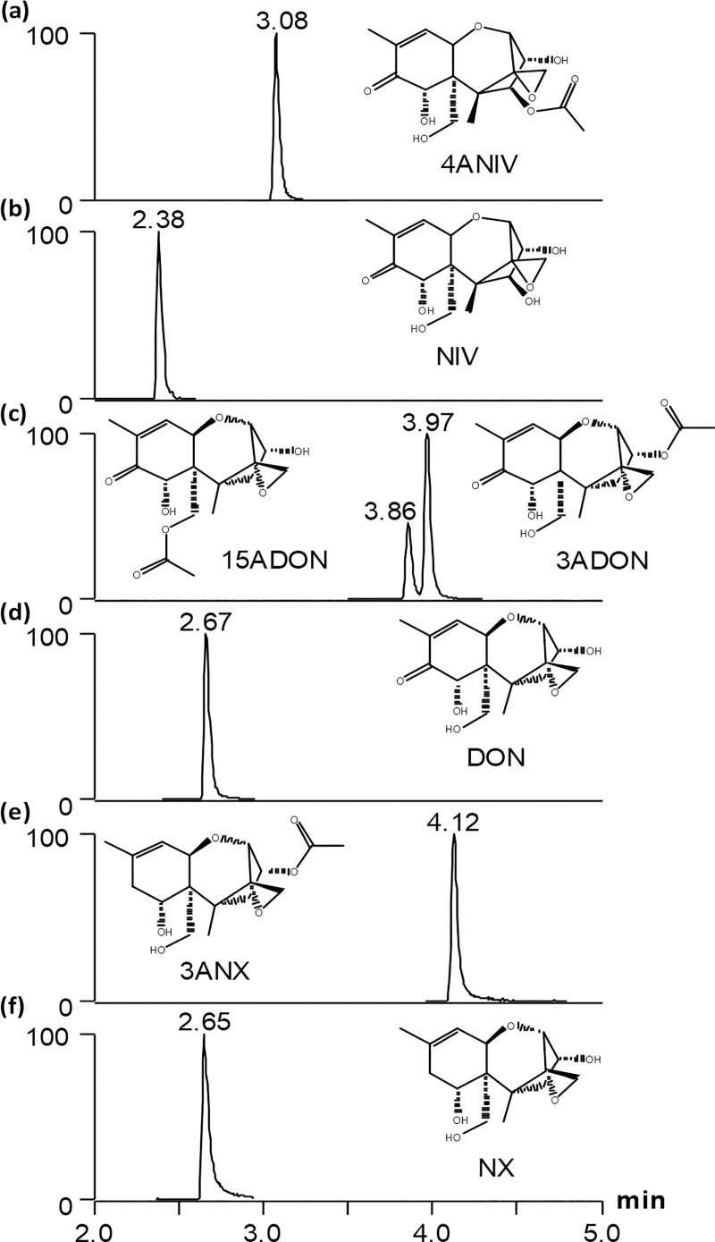 Fig 5