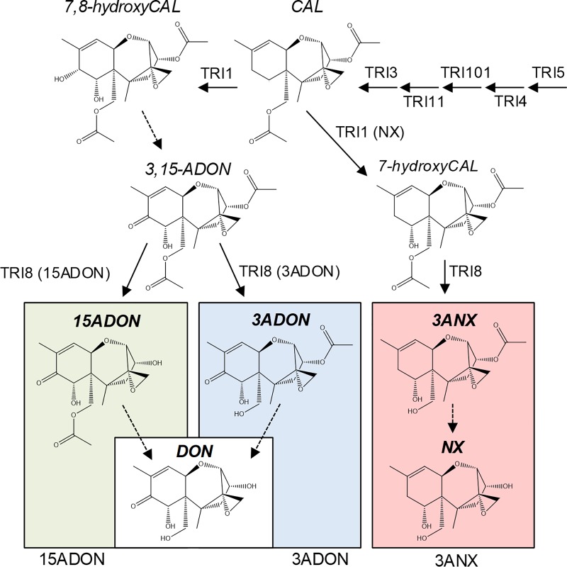 Fig 1