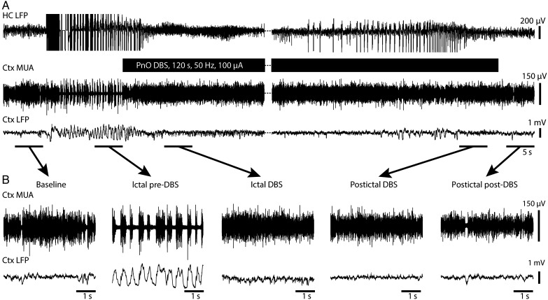 Figure 2.