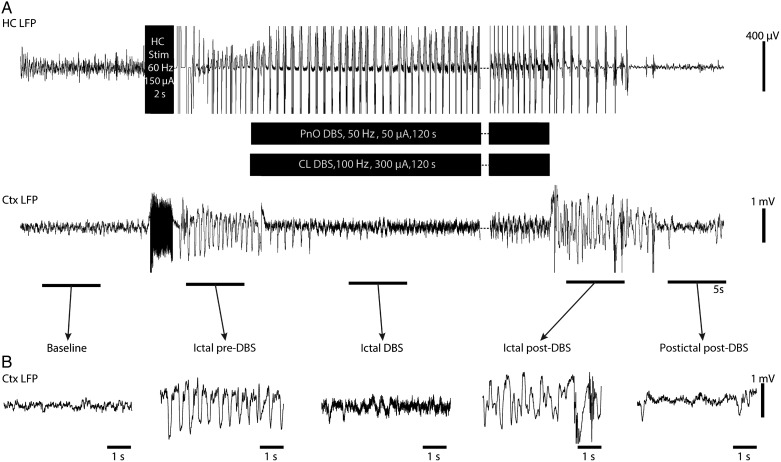 Figure 5.