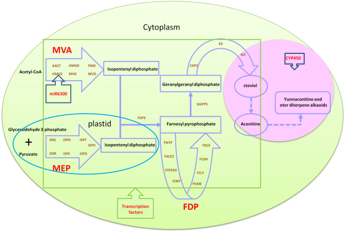 Fig. 3