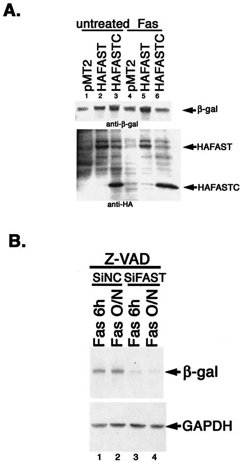 FIG. 9.