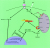 FIG. 12.