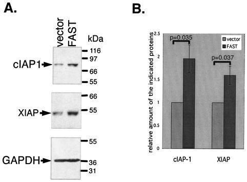 FIG. 11.