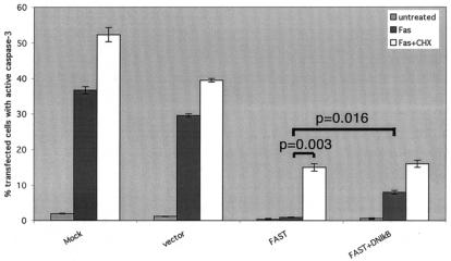 FIG. 10.