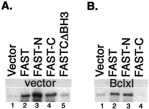 FIG. 7.