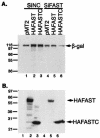 FIG. 8.