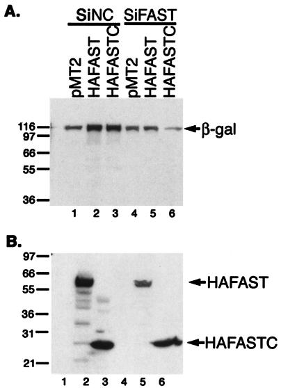 FIG. 8.