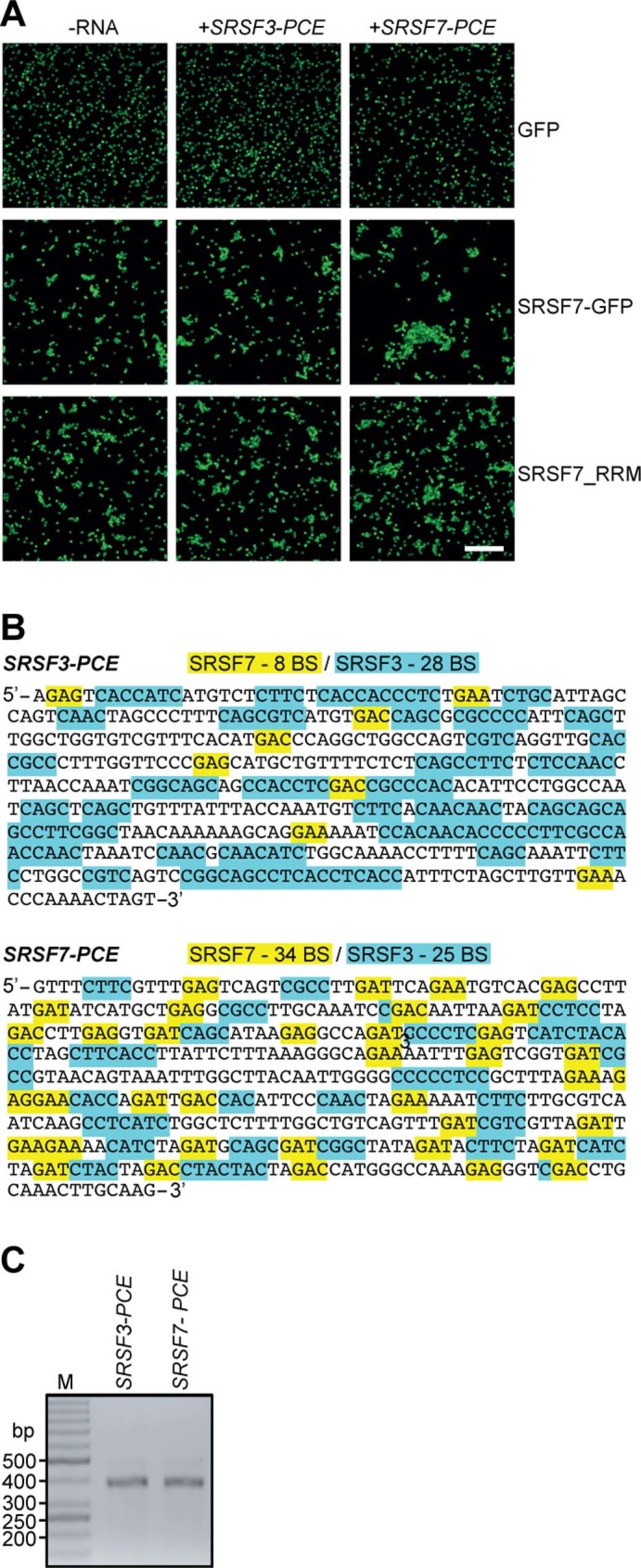 Extended Data Fig. 5