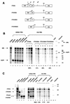 FIG. 7.