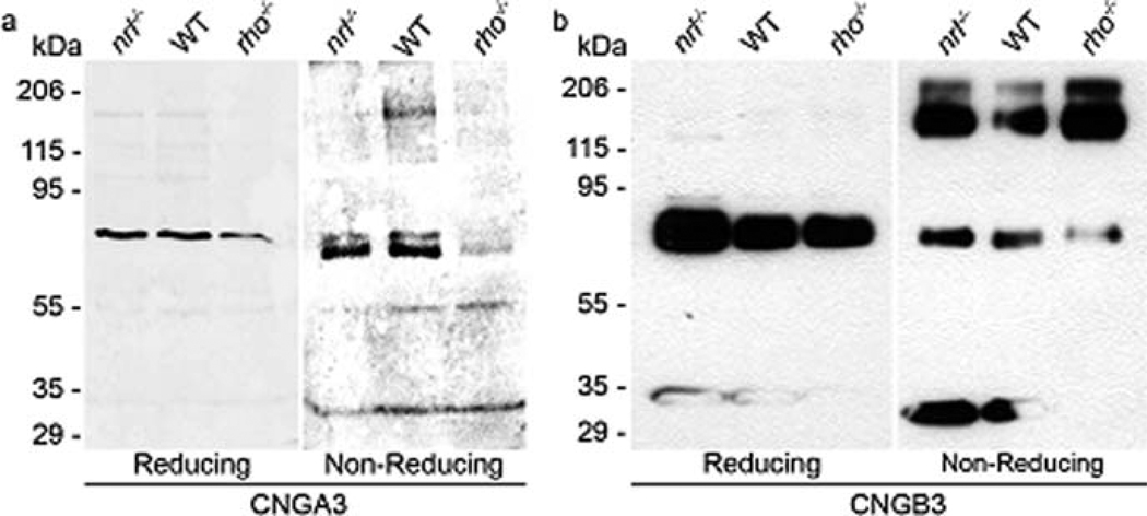 Fig. 8.2