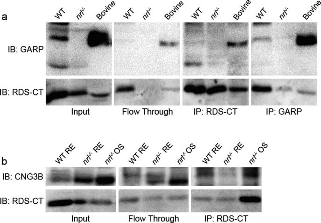 Fig. 8.3