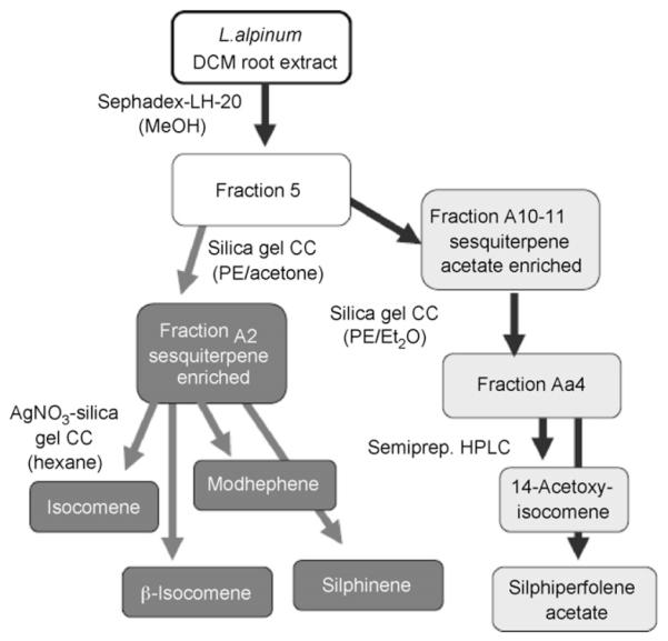 Scheme 1