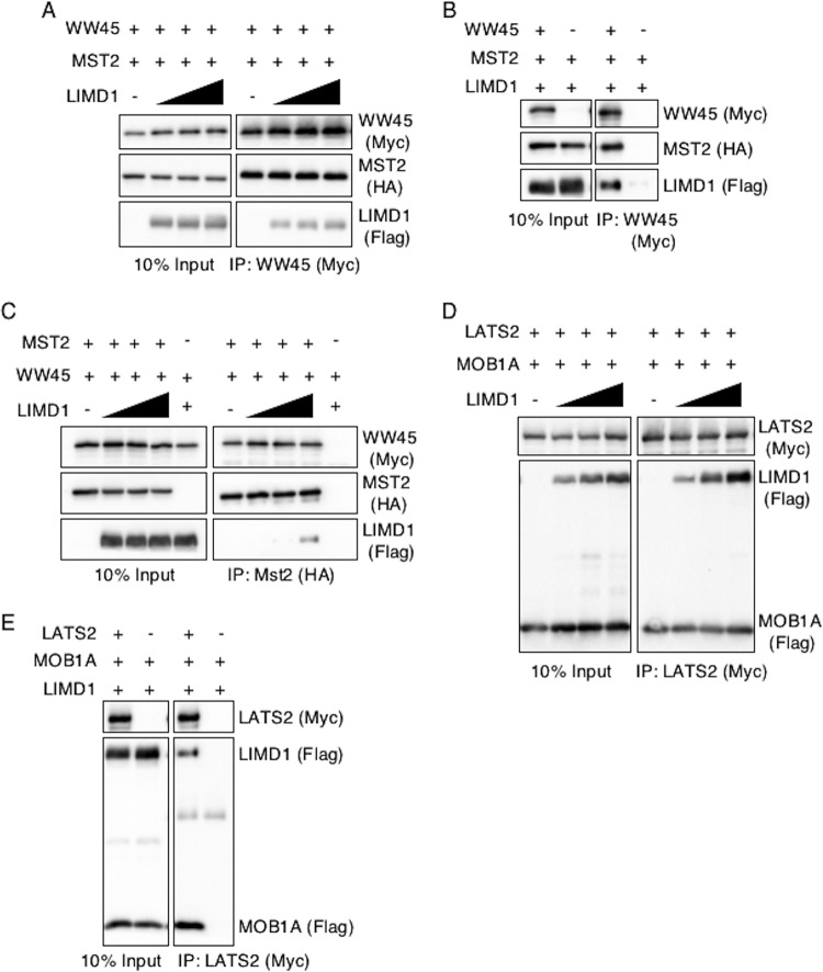 FIG 5