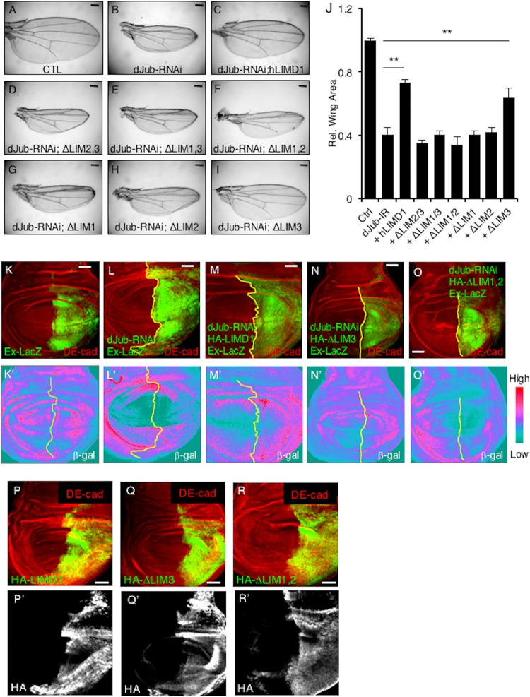 FIG 10