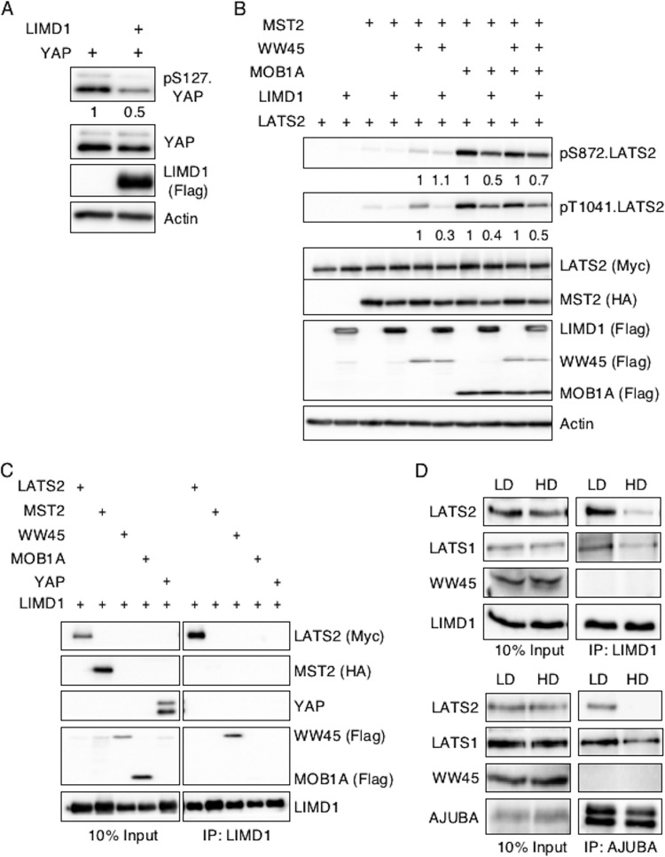 FIG 4