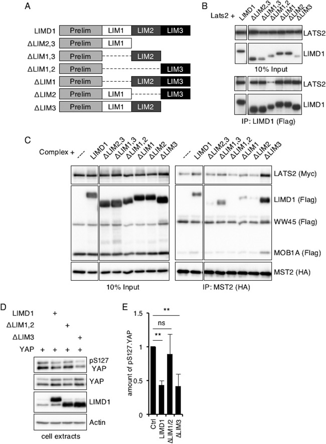 FIG 9