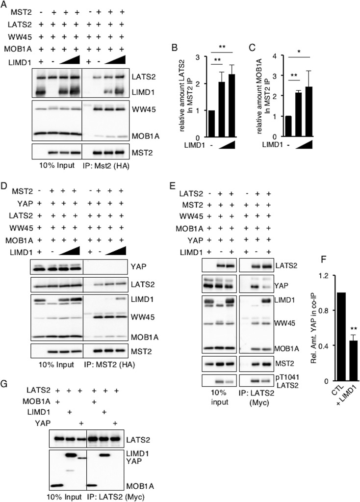 FIG 6