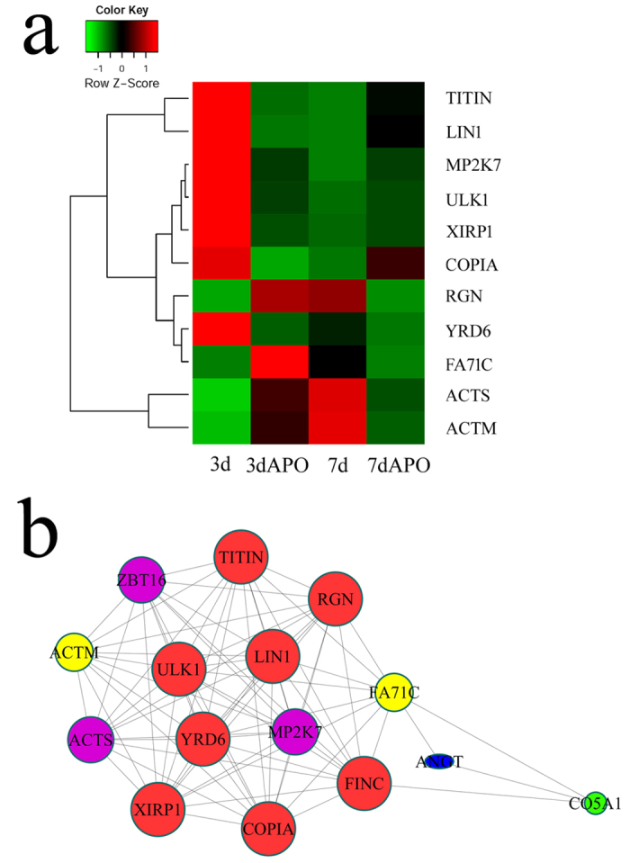 Figure 7