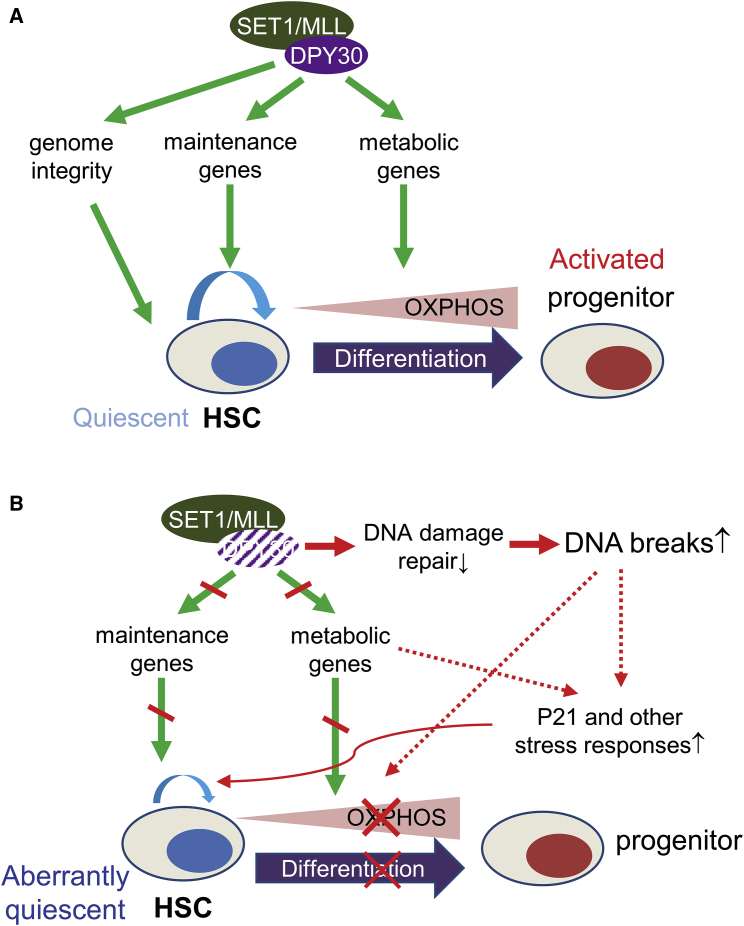 Figure 7