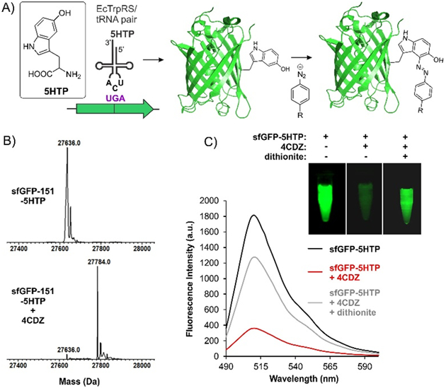 Figure 2.