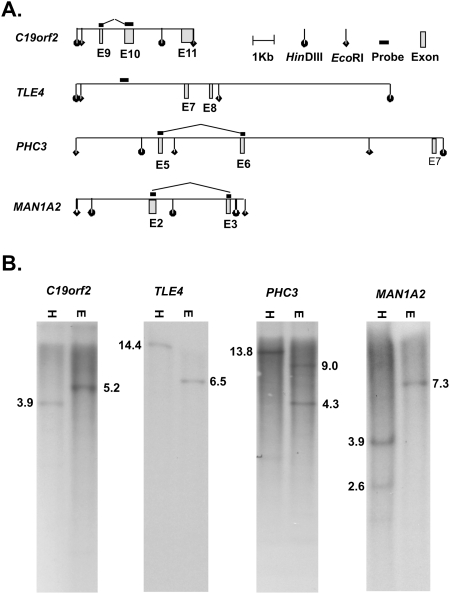 Figure 6.