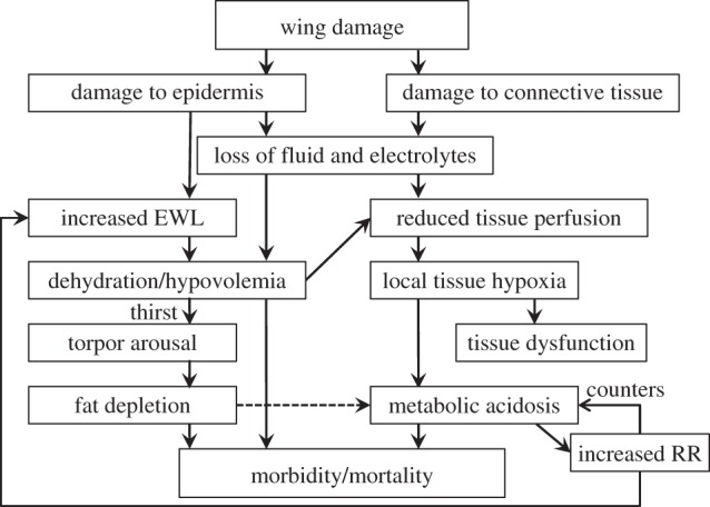 Figure 2.