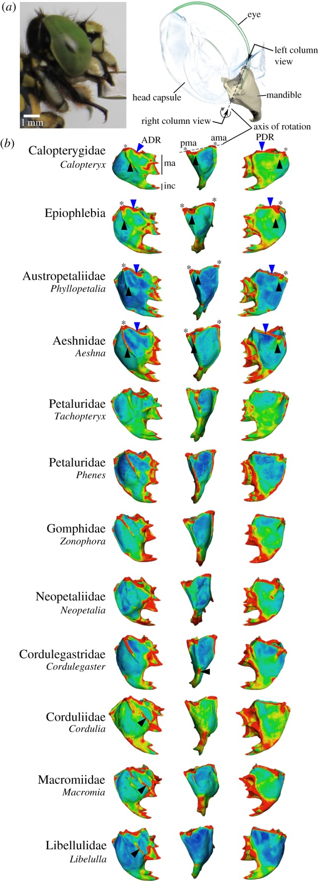 Figure 2.