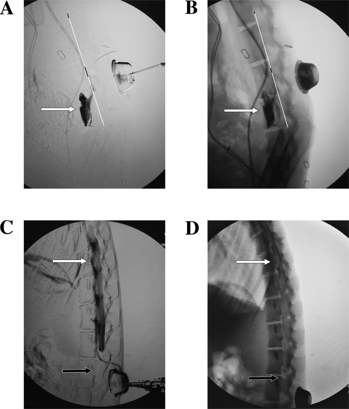 Fig. 8.