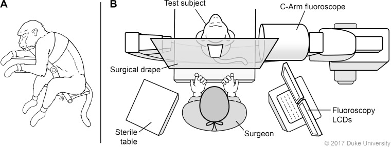 Fig. 2.