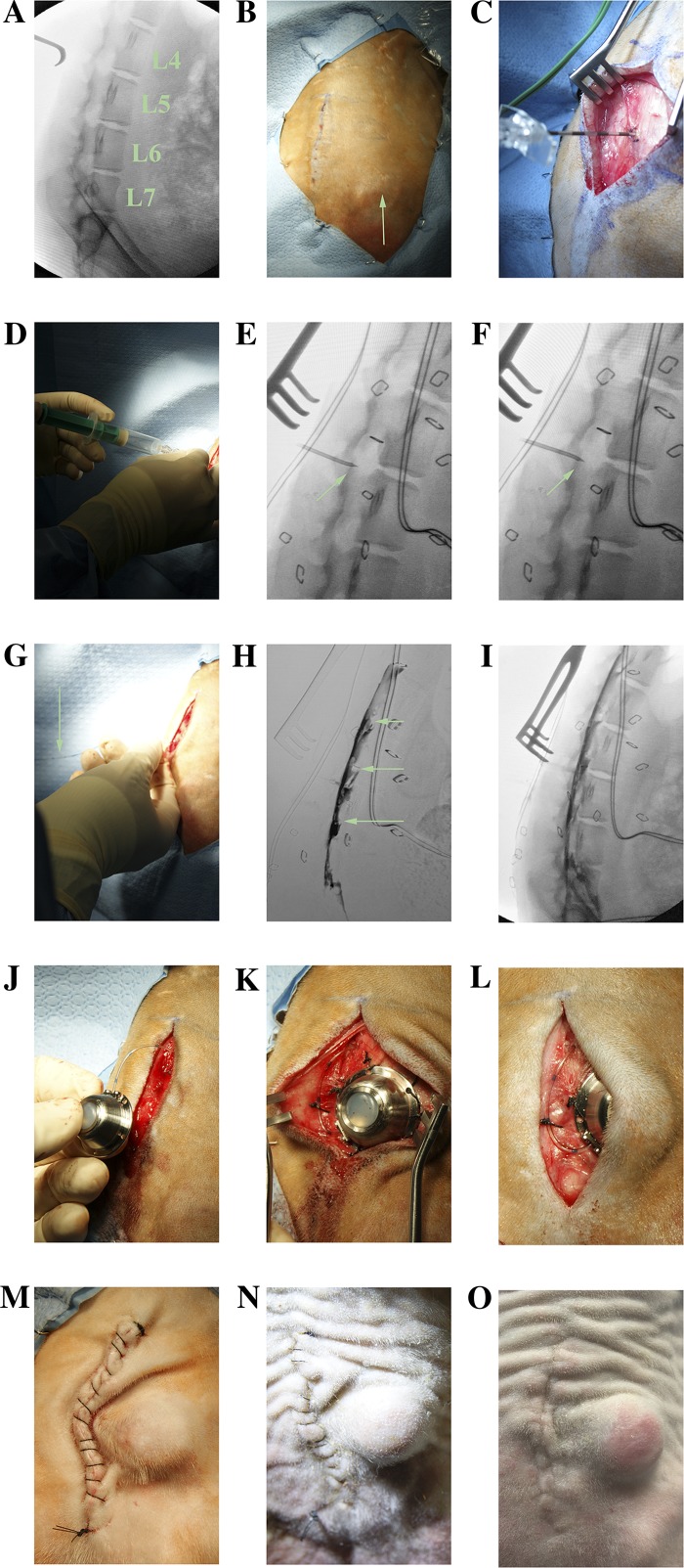 Fig. 3.