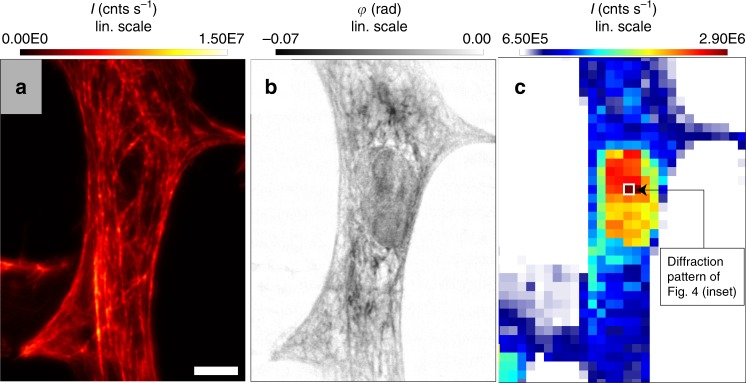 Fig. 2